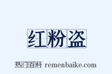 红粉盗是什么意思的图片